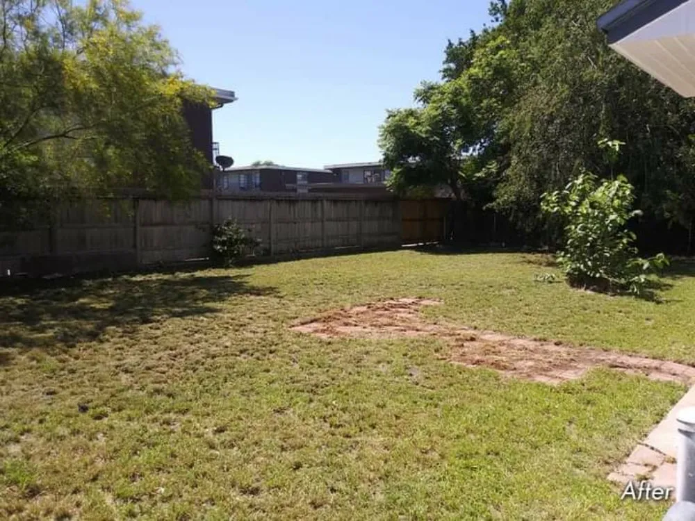 Local lawn care service in Corpus Christi, TX - Texas Affordable