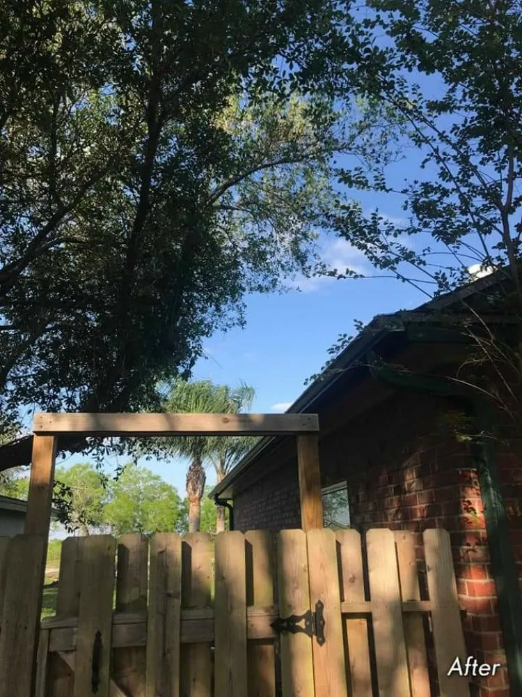 Trusted landscaping services for year-round maintenance across Corpus Christi, TX - Texas Affordable