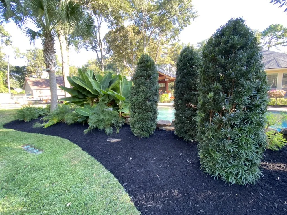 Reliable yard maintenance in Sugar Land, TX by Texas All Star Landscaping