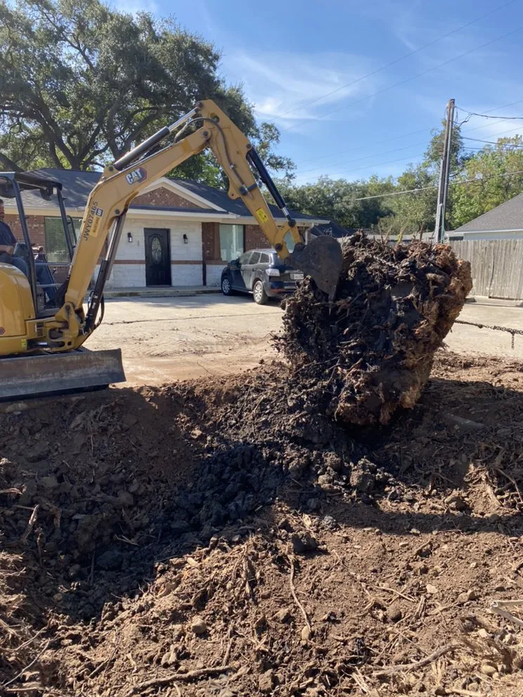 Reliable landscaping services in Sugar Land, TX - Texas All Star Landscaping