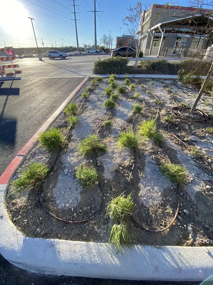 Local lawn mowing service experts serving Sugar Land, TX - Texas All Star Landscaping