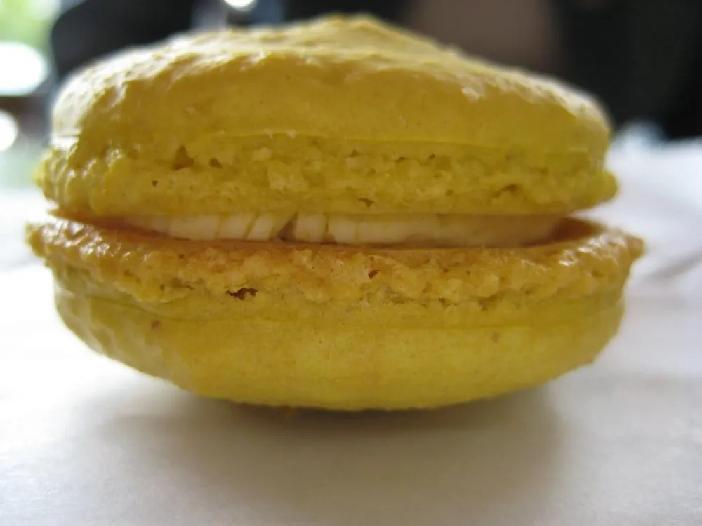 Professional landscape design experts serving Amarillo, TX - Texas Alpha Renovations