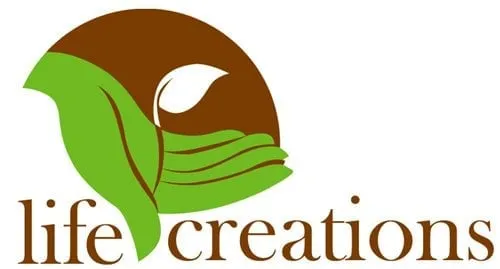 Professional outdoor landscaping in Amarillo, TX - Texas Alpha Renovations