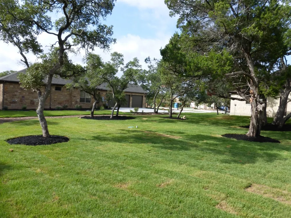 Affordable yard maintenance experts serving Georgetown, TX - Texas Beauty Scapes