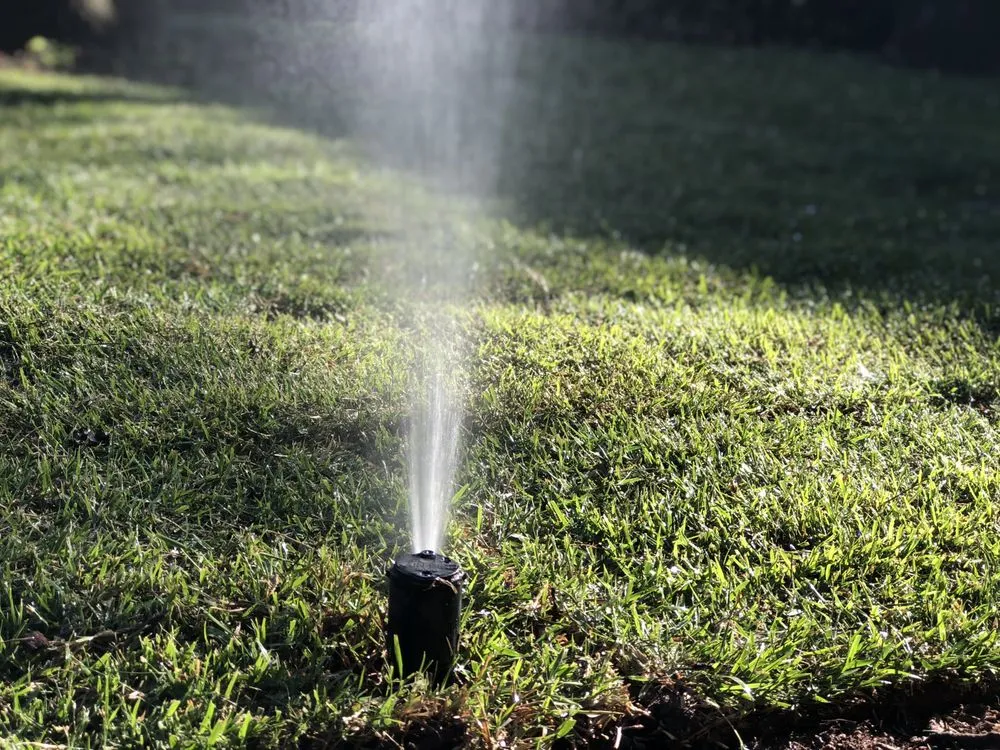 Expert yard maintenance for beautiful yards in Richmond, TX by Texas Best Irrigation & Landscaping