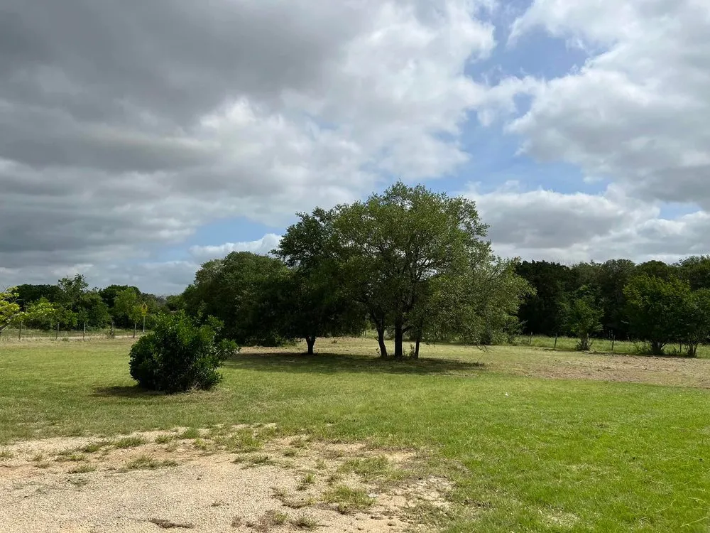 Professional landscaping services experts serving New Braunfels, TX - Texas Best Lawn Care and Home Services