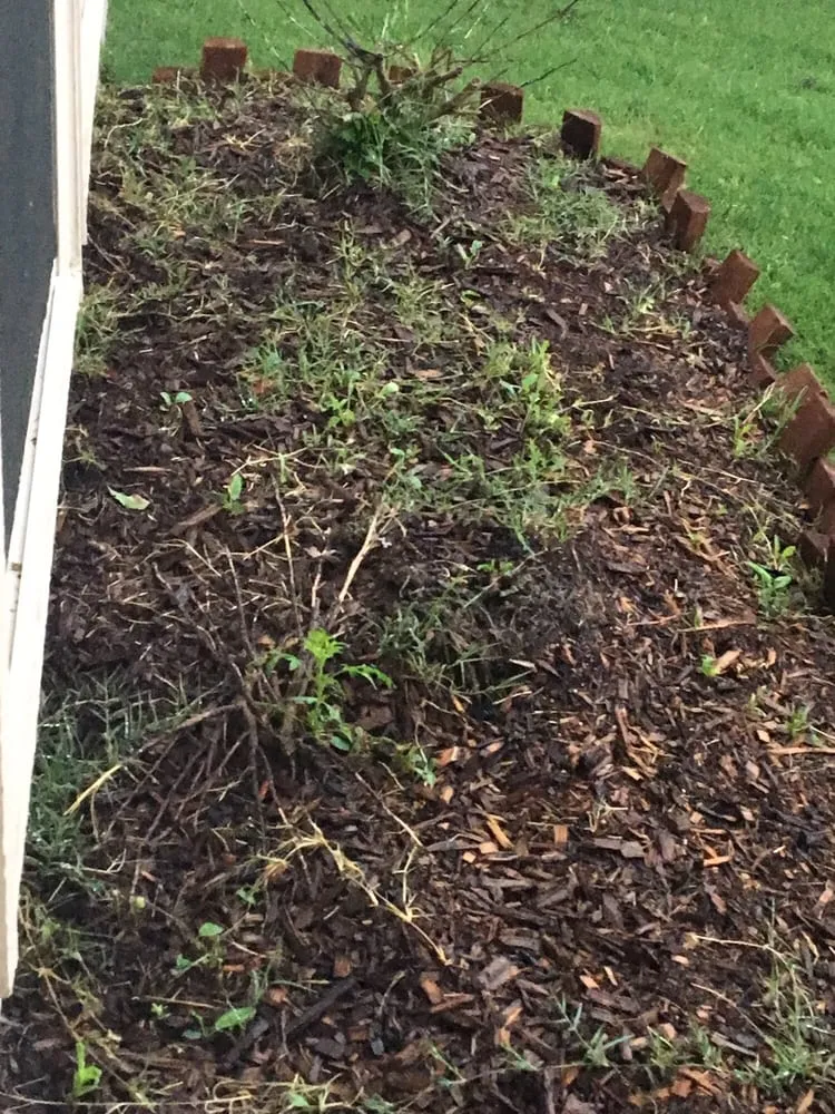 Local residential landscaping with custom design in McKinney, TX by Texas Best Lawn Care and Landscape