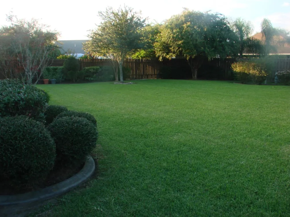 Top-rated lawn mowing service in Nederland, TX by Texas Best Lawn