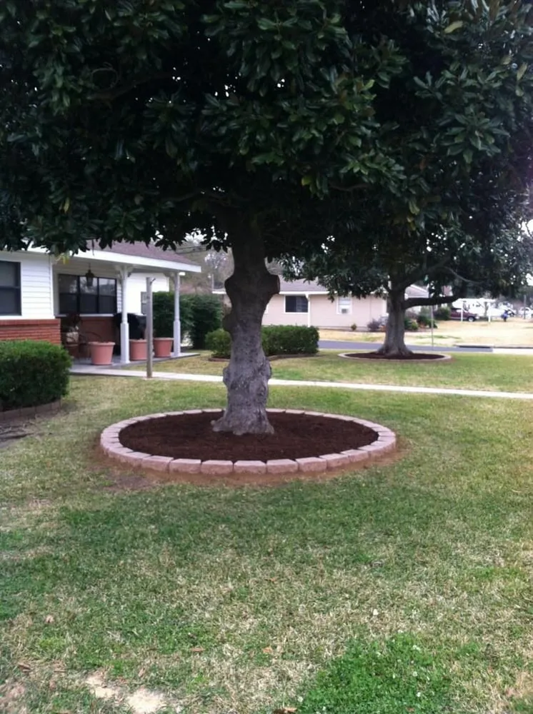 Trusted lawn care service for outdoor upgrades in Nederland, TX by Texas Best Lawn