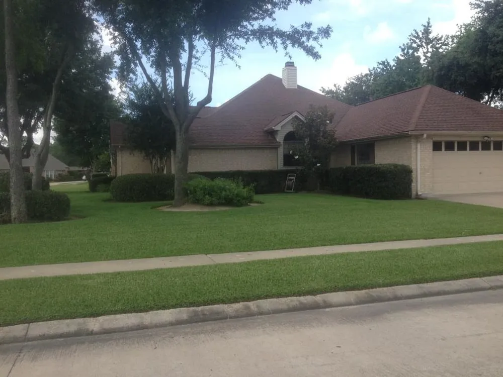 Affordable lawn care service for homes across Nederland, TX - Texas Best Lawn