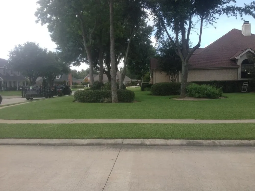 Affordable lawn care service in Nederland, TX - Texas Best Lawn