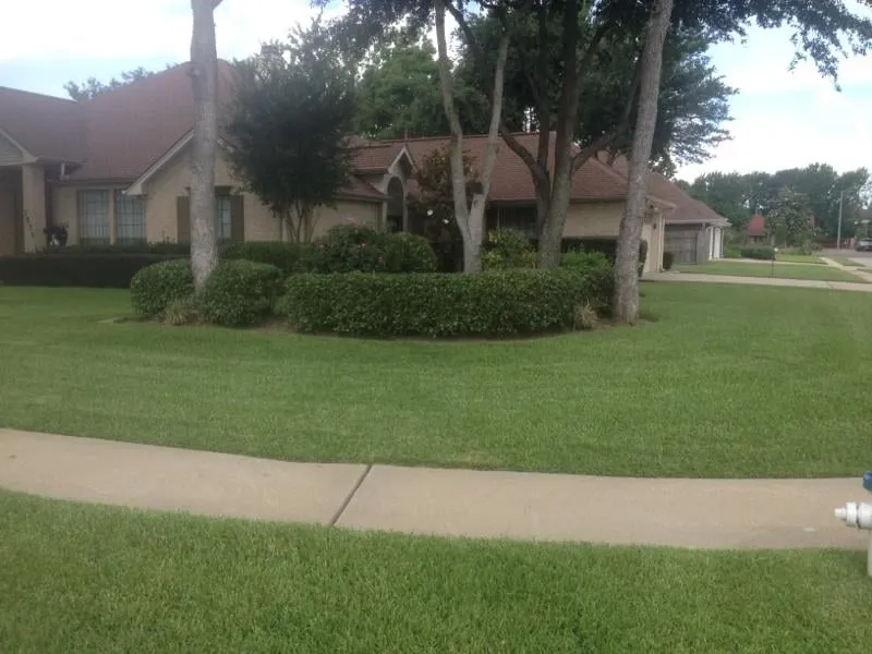 Local landscaping services experts serving Nederland, TX - Texas Best Lawn