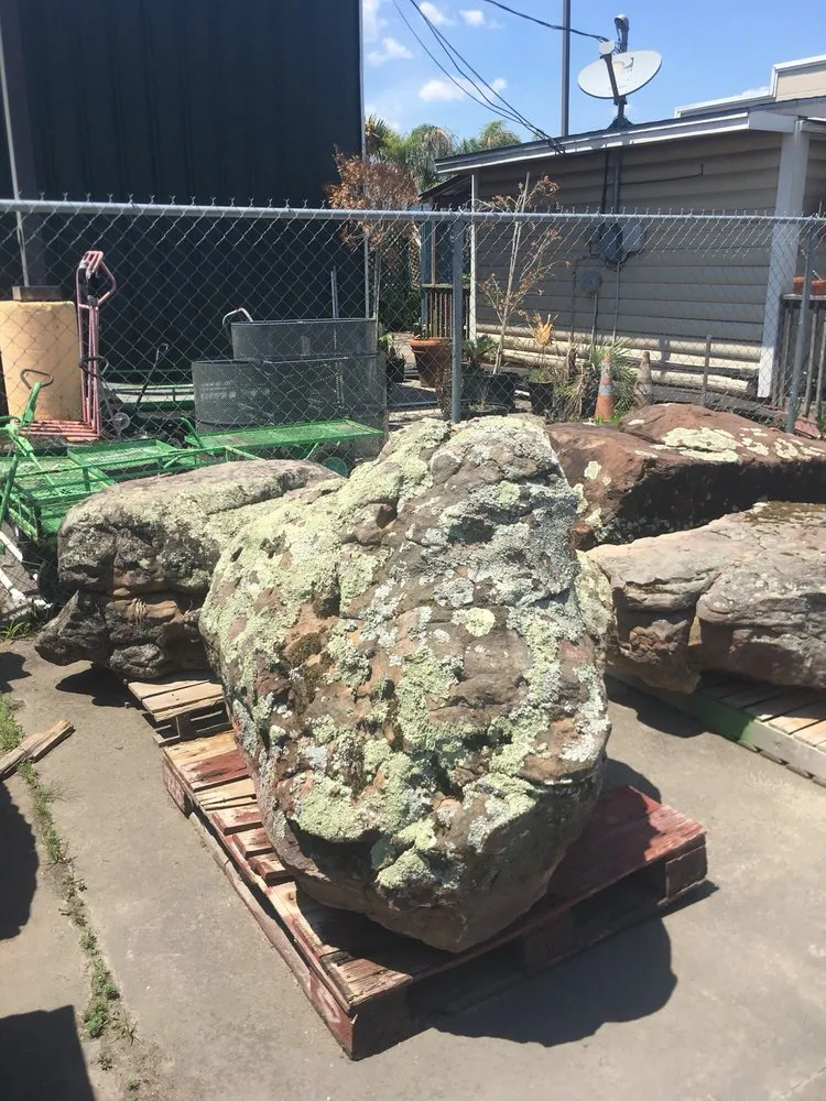 Professional yard maintenance with custom design in Nederland, TX by Texas Best Nursery