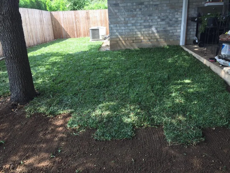 Professional yard cleanup service for beautiful yards across Castroville, TX - Texas Best Services