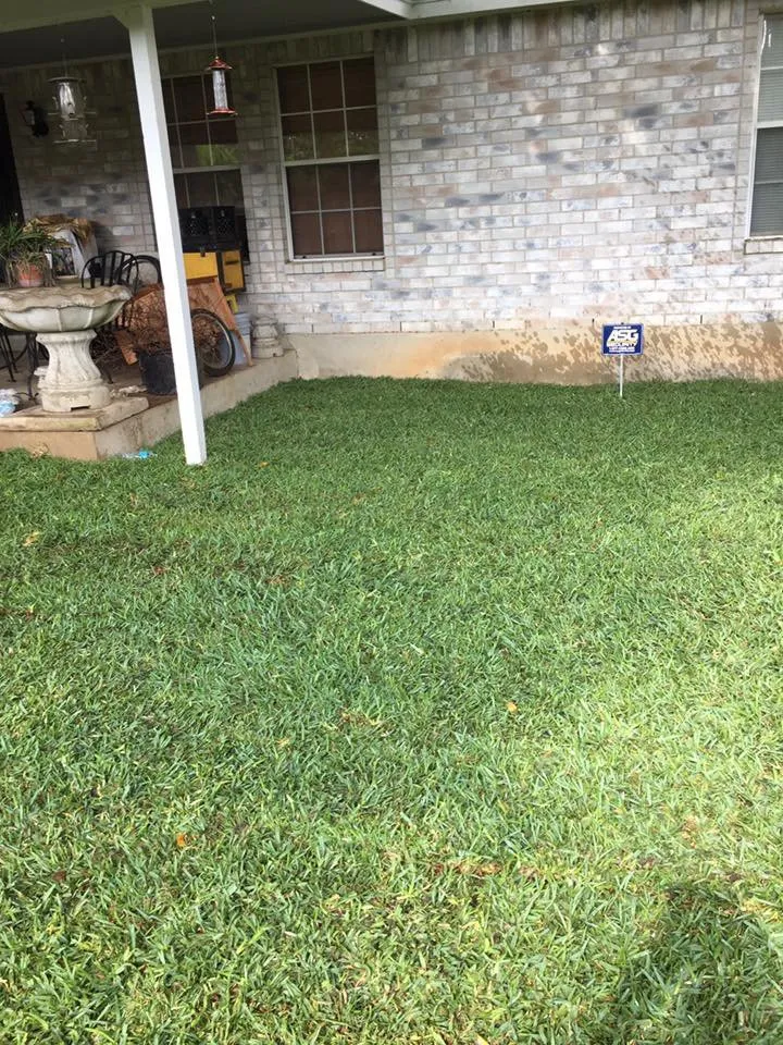 Affordable lawn mowing service in Castroville, TX - Texas Best Services