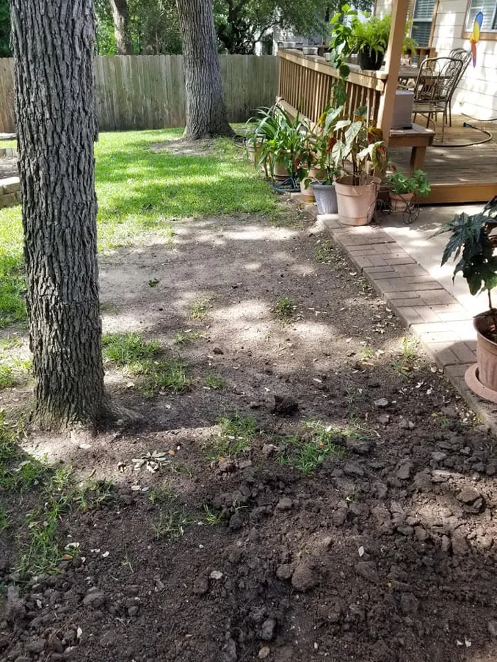 Affordable lawn mowing service with custom design across Castroville, TX - Texas Best Services