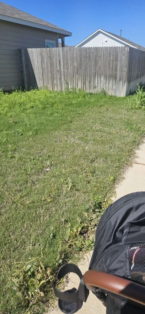 Affordable landscaping services in Kyle, TX by Texas Born Landscaping