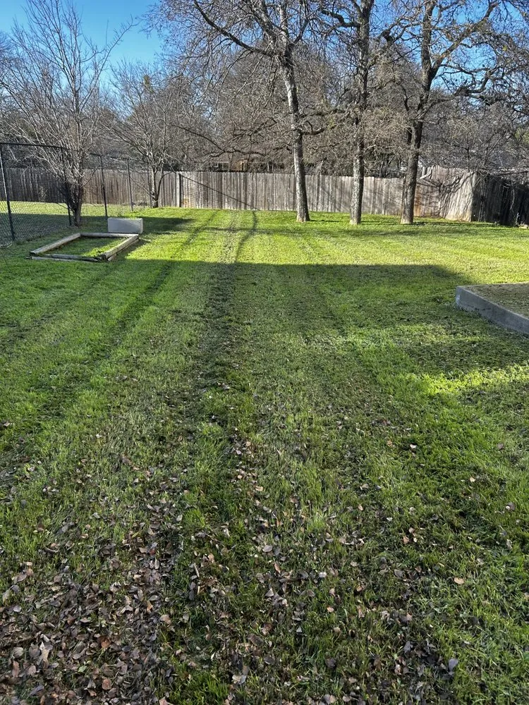 Top-rated garden landscaping near you in Kyle, TX by Texas Born Landscaping