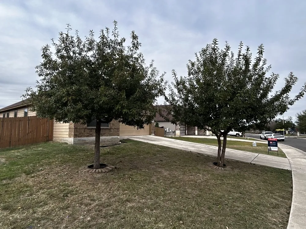 Reliable landscape installation in Kyle, TX - Texas Born Landscaping