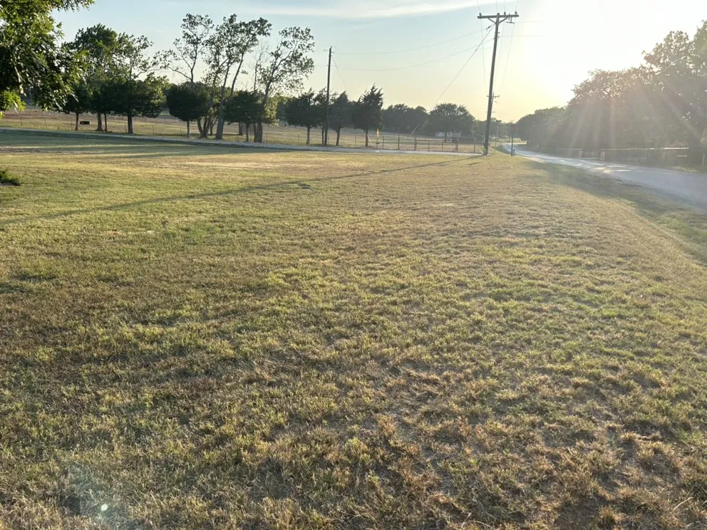 Top-rated lawn care service experts serving Peaster, TX - Texas Born Solutions