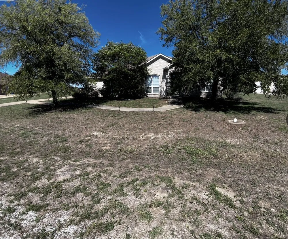 Affordable lawn mowing service in Peaster, TX - Texas Born Solutions