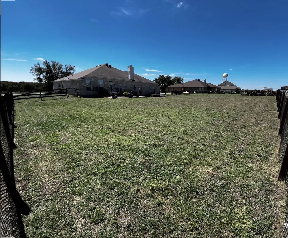 Professional outdoor landscaping in Peaster, TX by Texas Born Solutions