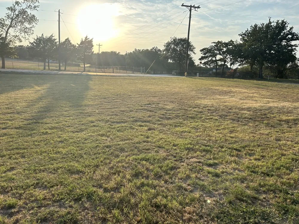 Custom garden landscaping experts serving Peaster, TX - Texas Born Solutions