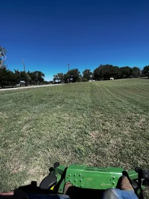 Texas Born Solutions