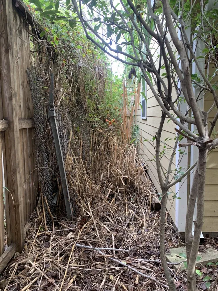 Professional garden landscaping experts serving Houston, TX - Texas Boys General Contractors