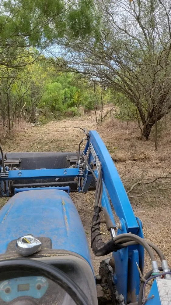 Local lawn care service for beautiful yards across McAllen, TX - Texas Brush Hogging