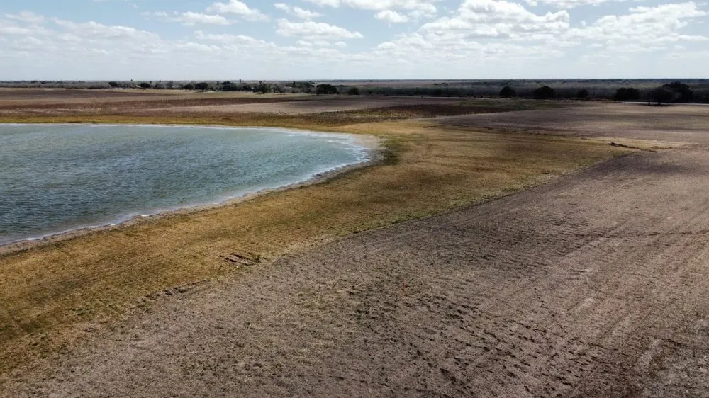 Reliable outdoor landscaping experts serving McAllen, TX - Texas Brush Hogging