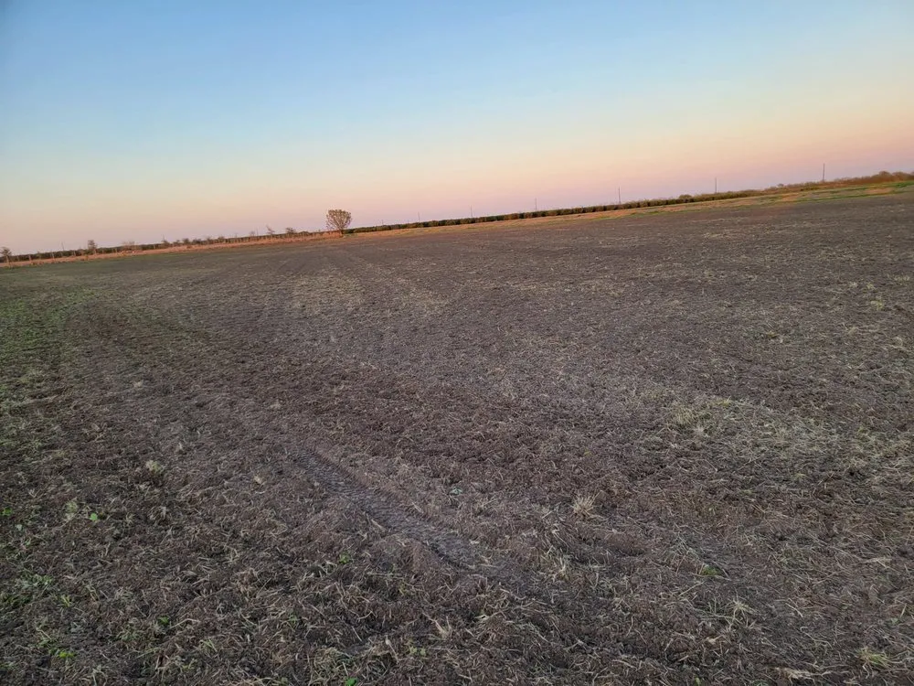 Reliable landscaping services experts serving McAllen, TX - Texas Brush Hogging