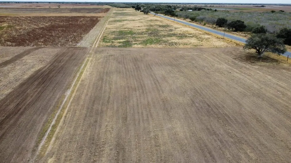 Reliable lawn care service experts serving McAllen, TX - Texas Brush Hogging