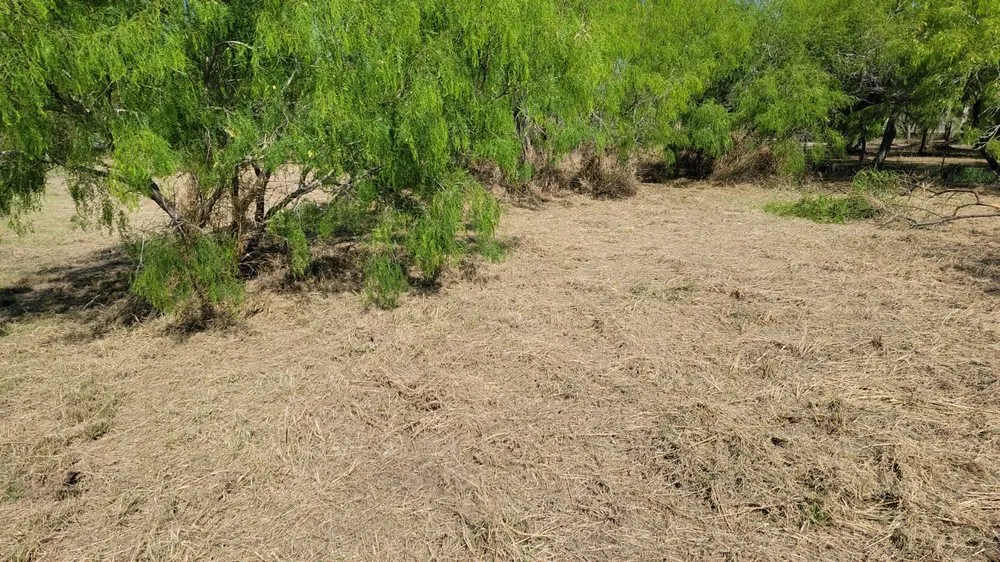 Custom residential landscaping in McAllen, TX by Texas Brush Hogging