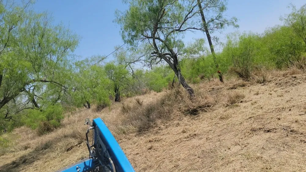 Professional residential landscaping with custom design across McAllen, TX - Texas Brush Hogging