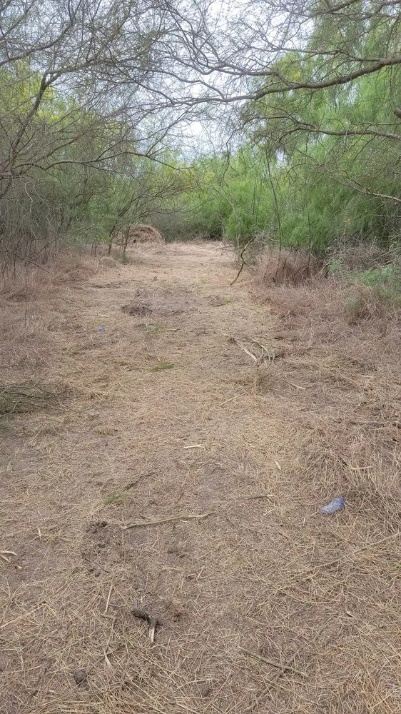 Top-rated outdoor landscaping near you across McAllen, TX - Texas Brush Hogging