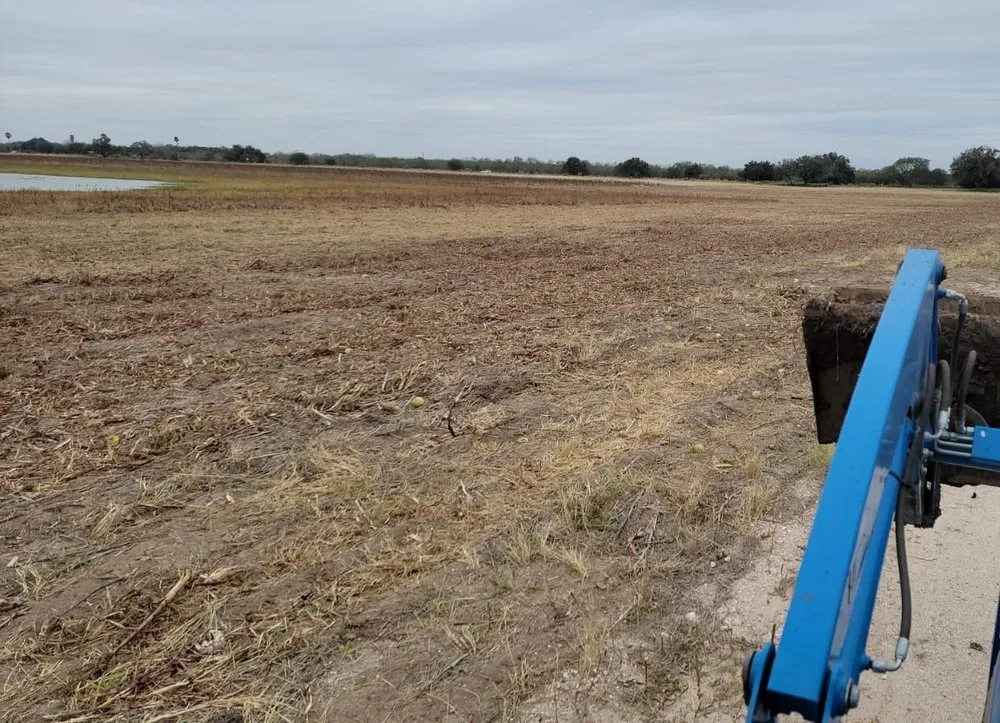 Expert outdoor landscaping for beautiful yards across McAllen, TX - Texas Brush Hogging