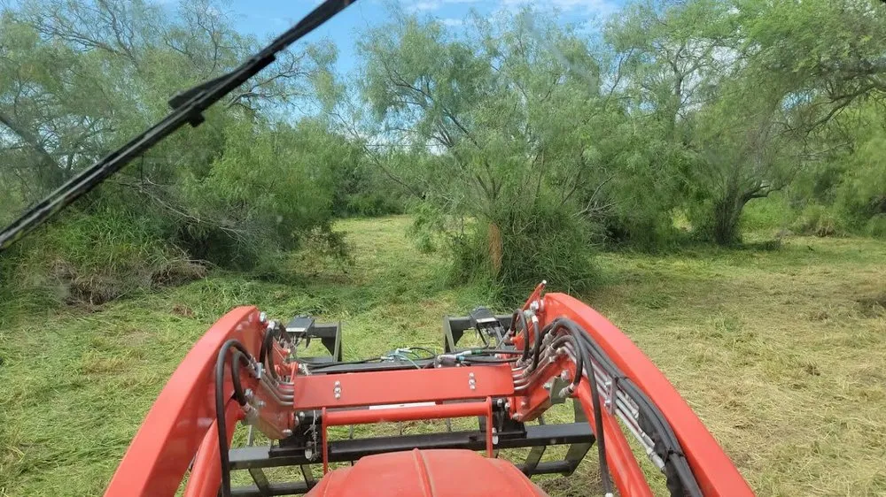 Professional residential landscaping in McAllen, TX - Texas Brush Hogging