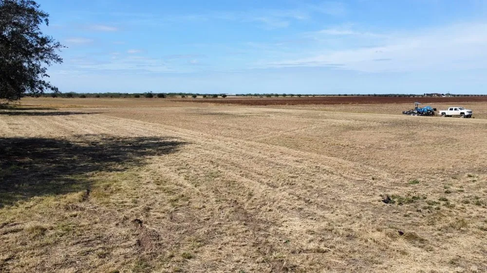 Local lawn mowing service in McAllen, TX by Texas Brush Hogging