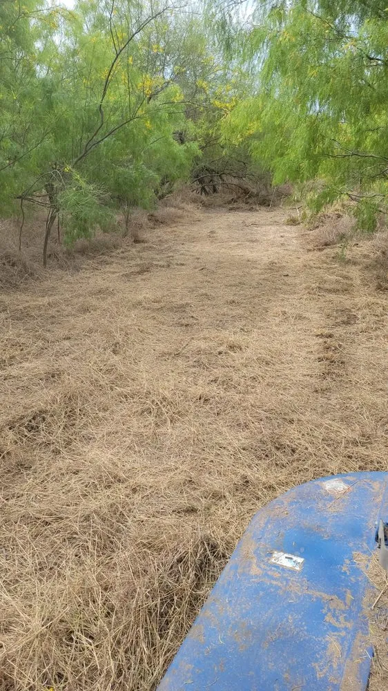 Professional outdoor landscaping for homes in McAllen, TX by Texas Brush Hogging