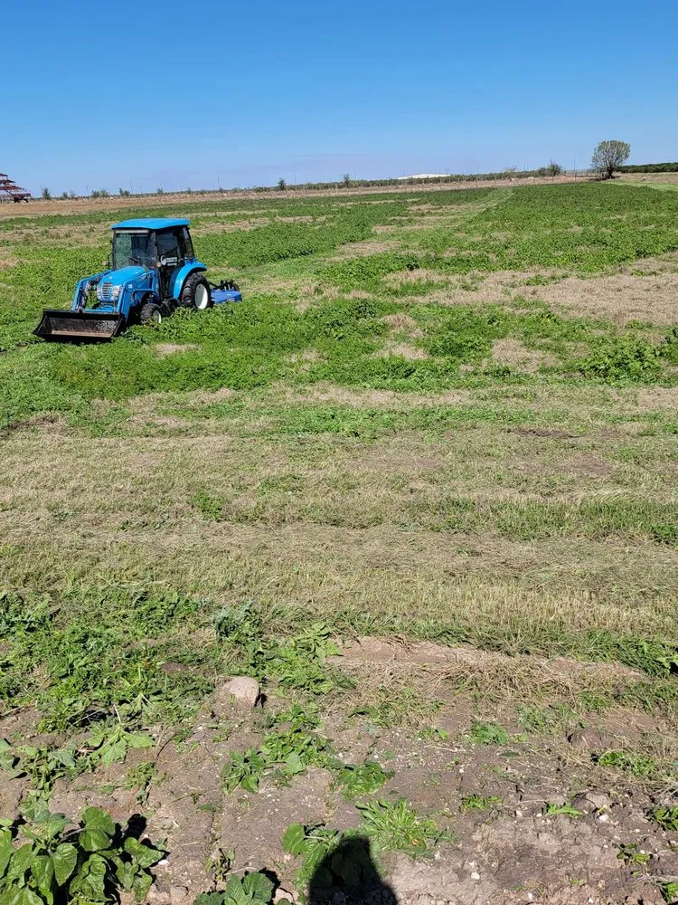 Expert lawn care service in McAllen, TX by Texas Brush Hogging