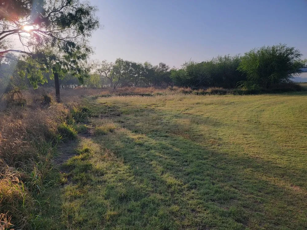 Top-rated outdoor landscaping for homes across McAllen, TX - Texas Brush Hogging