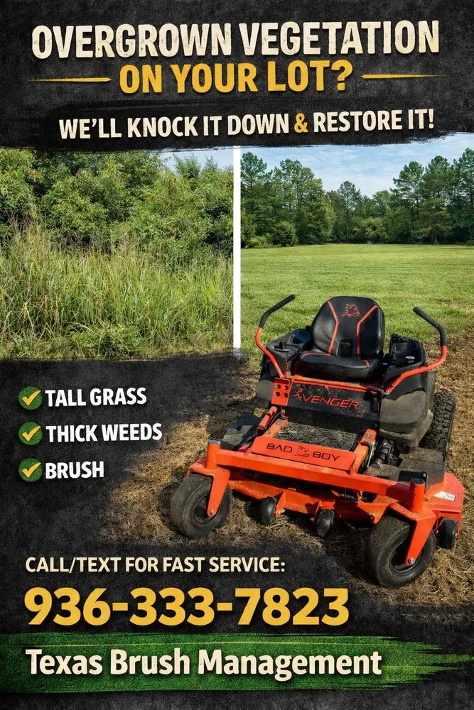 Professional landscaping services in New Caney, TX - Texas Brush Management