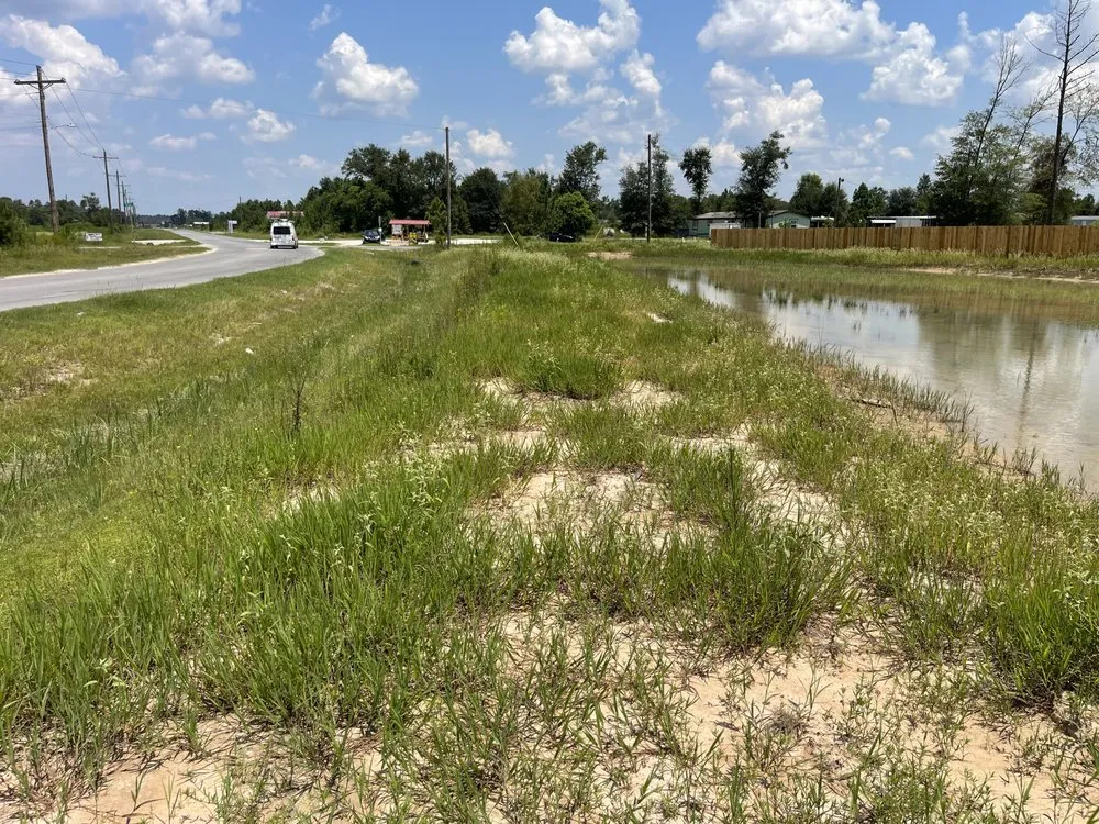 Professional outdoor landscaping for homes in New Caney, TX by Texas Brush Management