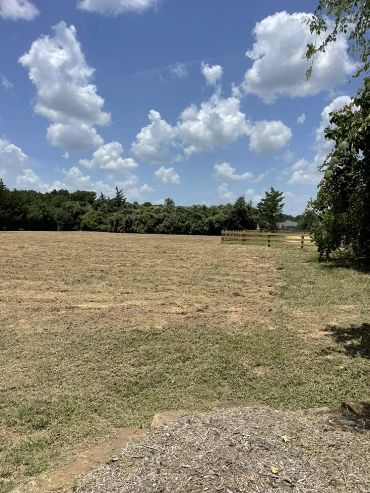 Affordable residential landscaping for outdoor upgrades across New Caney, TX - Texas Brush Management