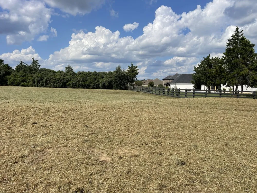 Custom landscape installation for outdoor upgrades across New Caney, TX - Texas Brush Management