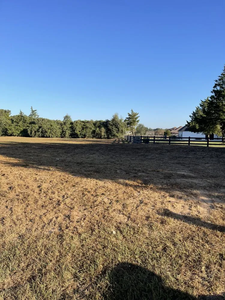 Reliable outdoor landscaping in New Caney, TX by Texas Brush Management