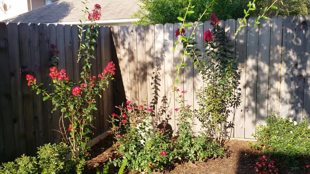 Reliable garden landscaping near you in Houston, TX by Texas Care Landscaping