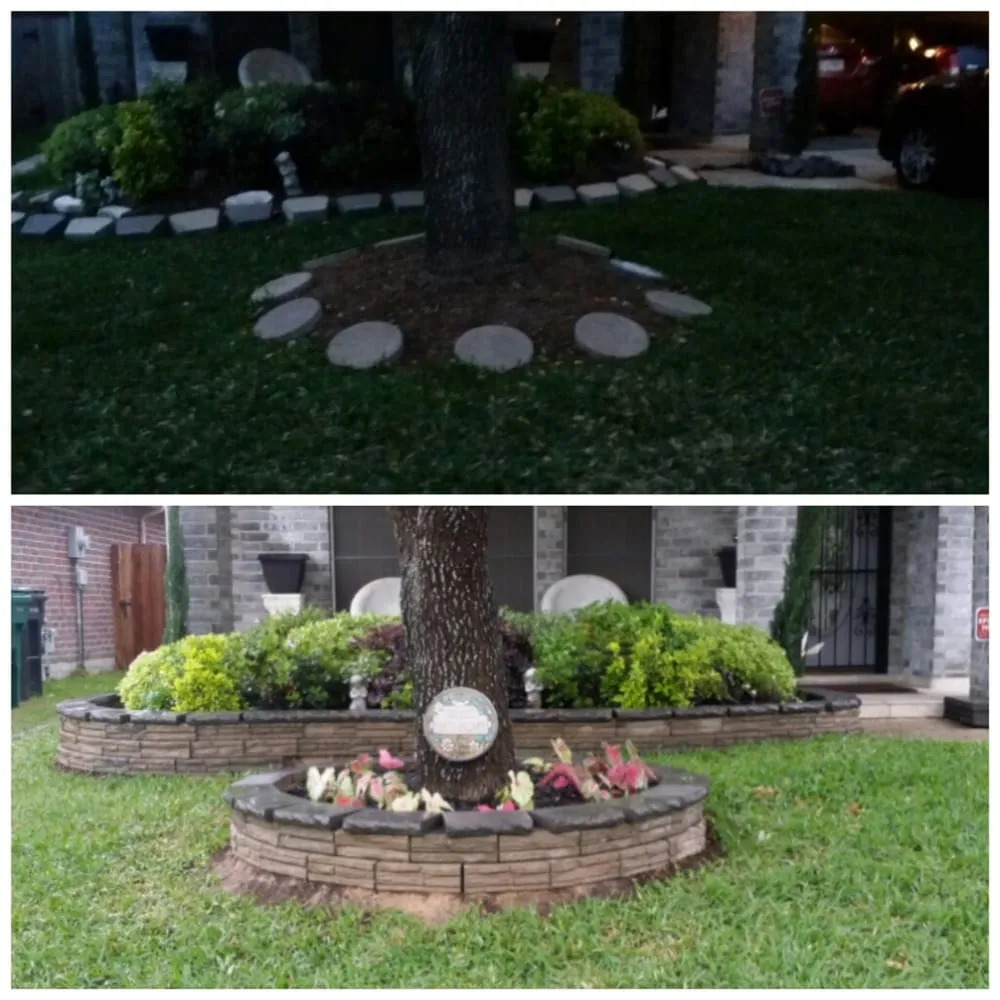 Expert lawn care service for homes across Houston, TX - Texas Care Landscaping