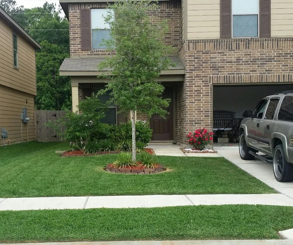 Top-rated landscape installation for year-round maintenance in Houston, TX by Texas Care Landscaping